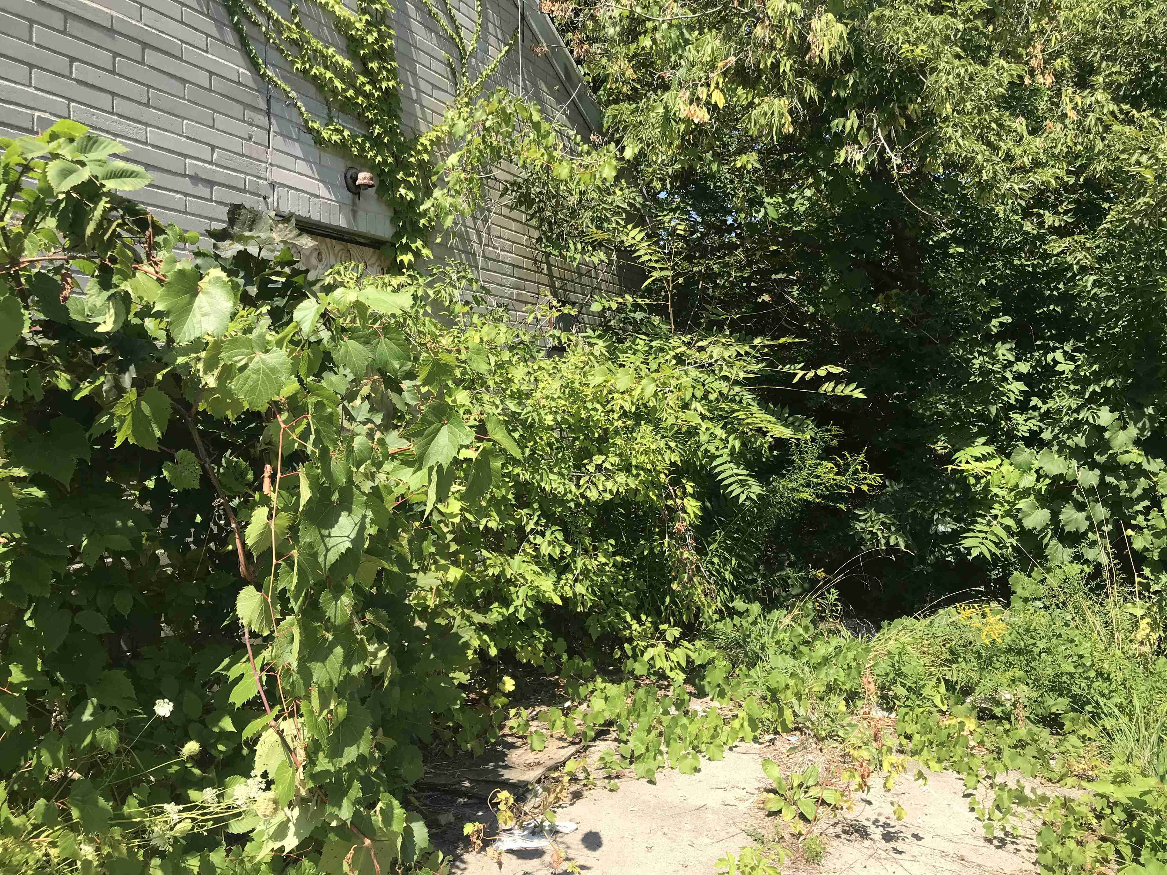 Photo Aug 21, 1 25 30 PM.jpg